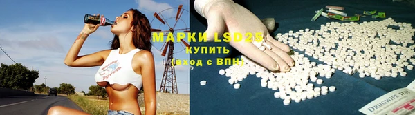 spice Аркадак