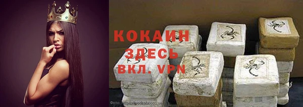 spice Аркадак