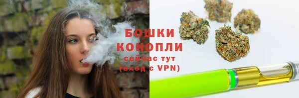 трава Армянск