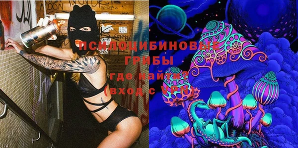 скорость Арсеньев