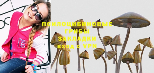 первитин Балахна